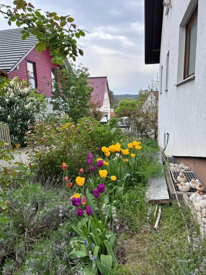 Fewo Michistrasse Forchheim  Extérieur photo